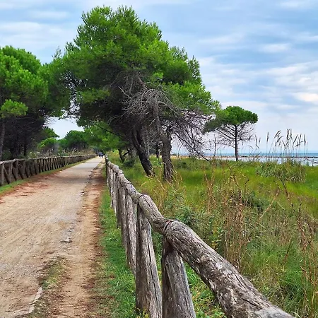 Great Flat In An Excellent Spot In * Bibione